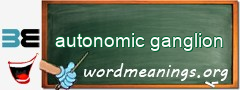 WordMeaning blackboard for autonomic ganglion
